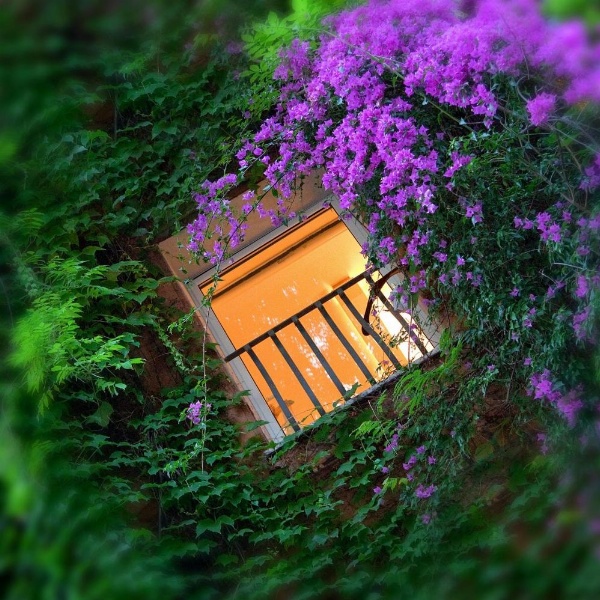 Bio Hotel Raphael - Relais & Châteaux image 26